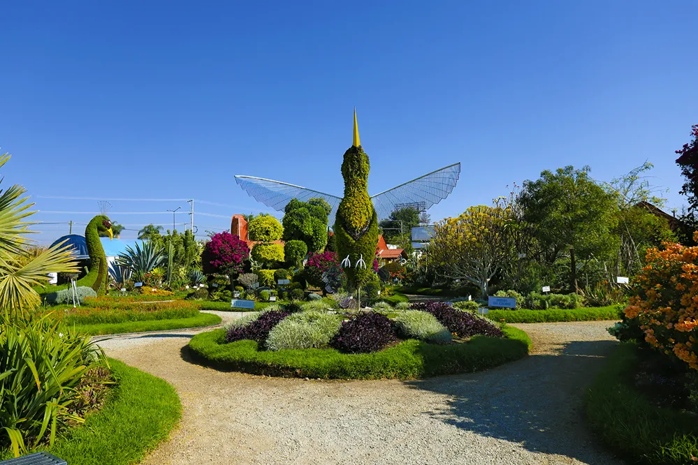 Atraccion Jardín Mágico Atlixco